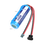 Pack de batteries lithium-ion rechargeables 21700 3,7 V 5000 mAh avec BMS et prise USB Type-C