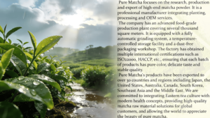 <span class=keywords><strong>KiKi</strong></span> Matcha Japonés en Polvo Puro de Grado Ceremonial, 1 kg, Matcha a Granel, Matcha Orgánico al por Mayor, Etiqueta Privada OEM - Product Image 2