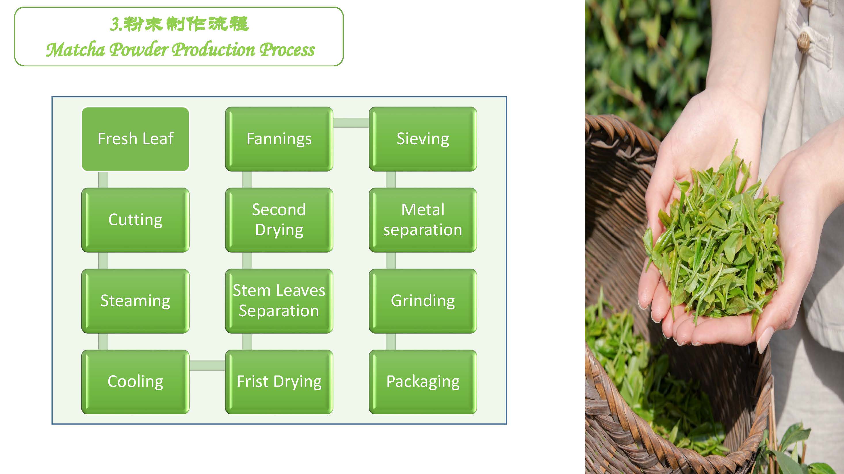 Organic Green Tea Matcha Powder Private Label Ceremonial Grade 5