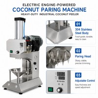 Machine à éplucher les noix de coco électrique, à moteur, robuste, de qualité industrielle
