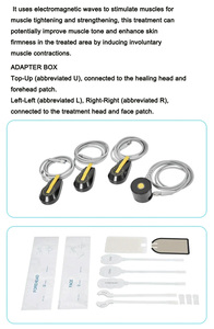 Máquina Profesional de Escultura Facial de PE, Reafirmante de Piel, Antienvejecimiento, Lifting Facial, Eliminación de Arrugas, Masajeador Facial para Salón de Belleza y Spa - Product Image 3