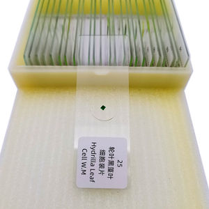 25 adet hazırlama numune biyolojik hazırlanan slaytlar bitki ve hayvan hücreleri - Product Image 5