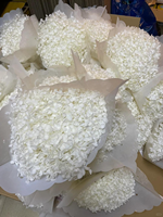 Dekorasi Rumah Pernikahan Buket Bunga Kering Bunga Alami Mudah Diawetkan Hydrangea