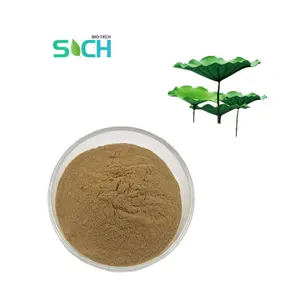 Lotus Leaf Extract Nuciferine Powder Blue Lotus Extract With Nuciferine 5% For Weight Loss