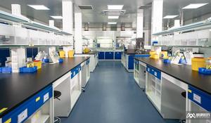 N-impurities/Spot Goods Nitrosamine Intensive Reference Standard Global Service - Product Image 2