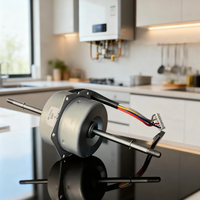 Moteur électrique monophasé à pied, avec fil de cuivre de qualité supérieure, 1310 tr/min, pour chauffe-eau à gaz, 220V 30W