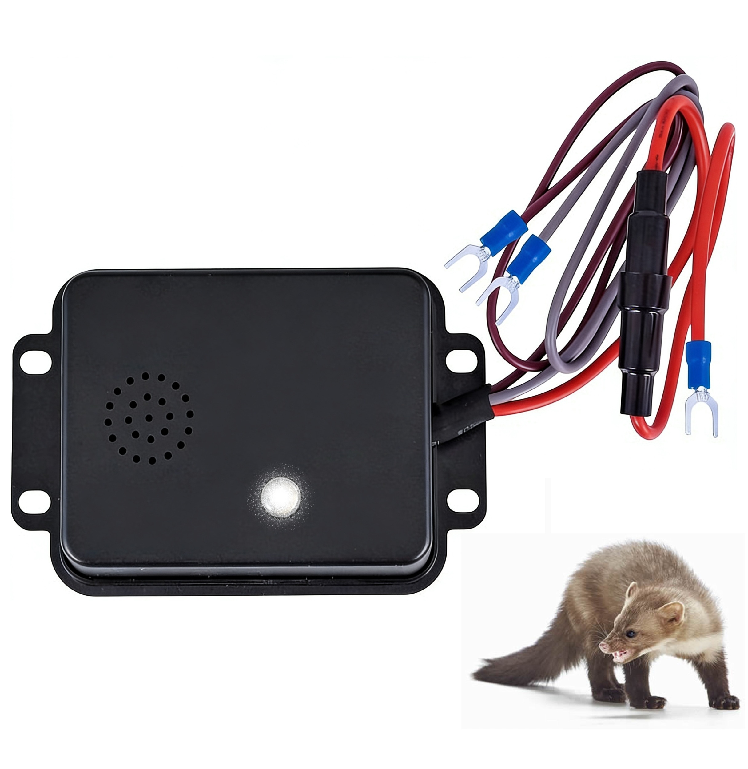 With white LED indicator light