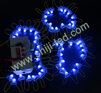 Lampu Pixel LED RGB Addressable 12mm Persegi SJ-2618-DMX IP66 50pcs/Rantai Modul Pixel LED Luar Ruangan PVC Taman Hiburan Liburan