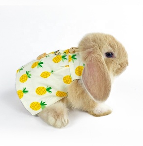 Harnais et laisse réglables anti-évasion et résistants aux morsures pour lapins, petits animaux, petaurs sucrés et hamsters - Product Image 4