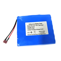 Batterie lithium-ion personnalisée haute performance de qualité supérieure 111Wh 22.2V 10Ah 6s4p pour éclairage de scène LED