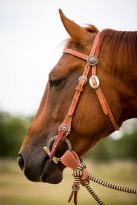 Luxury Soft Brown Leather Horse Bridle High Quality Comfortable Indian Racing <b>Equestrian</b> Equipment Customizable English - Product Image 6