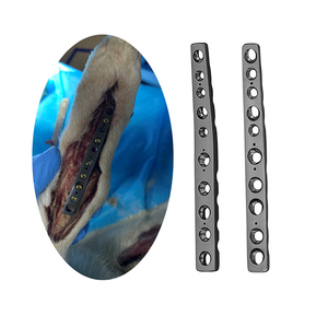 RUNPHY Placca Ortopedica Veterinaria in Titanio con Bloccaggio per Animali di Piccola Taglia, Cani e Gatti, per Artrodesi e Placca Ossea Carpaletaria - Product Image 3