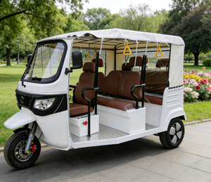 TUKTUK Cinese per Adulti, Aperto o Coperto, Triciclo Taxi per 6 Passeggeri, Bus per Gite Turistiche - Product Image 5