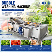 RVS-belwasmachine voor verse groenten, fruit, zeevruchten, vlees en voedselverwerkingsbedrijven