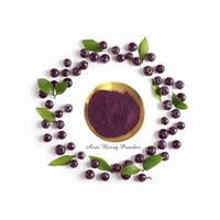 Prix de gros OEM/ODM poudre d'extrait de fruit d'açai de qualité alimentaire certifié GMP supplément de fruit naturel dans un sac d'emballage