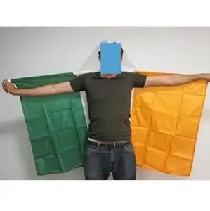 爱尔兰车身旗3 'x 5' 意大利斗篷风扇旗90 x 150厘米横幅3x 5英尺