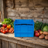 Caisses pliables en plastique PP robustes et durables, empilables et pliables, pour un rangement et un transport faciles