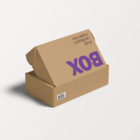 Boîtes postales en papier kraft pliable ondulé avec logo personnalisé de conception gratuite pour produits de beauté boîte de bijoux en tissu pour chaussures