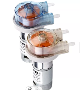 Pompe péristaltique Longjiemy LFP204 24VDC à 2 rouleaux, installation rapide - Product Image 2