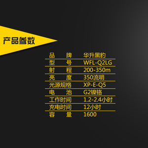 ไฟฉายกันระเบิด WFL-Q2LG ตัวเรือนอะลูมิเนียมอัลลอยด์ 12V DC Class I Division 1 Nema 4X T4 สำหรับแสงสว่างภายนอกอาคารเพื่อความปลอดภัย - Product Image 2