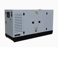 Générateur électrique diesel silencieux de 20 kW, 50 kW, 100 kW, 200 kW, 500 kW, 800 kW, 1000 kW pour la maison, l'exploitation minière et la location