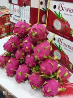 Verse AA-kwaliteit Dragon Fruit uit Ninh Thuan, Vietnam - 60 dagen houdbaarheid - Sunrise Ins merk