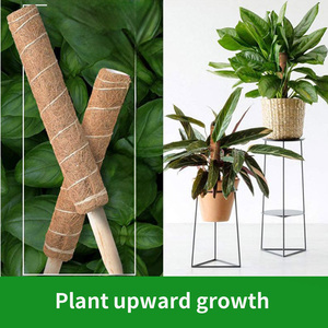 Pôle de mousse de noix de coco pour plantes d'intérieur Monstera Utilisation au sol Écologique Durable Biodégradable Plante Support Trous de drainage Moderne - Product Image 5