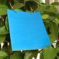 Piège à insectes collant jaune biodégradable personnalisé