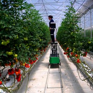 Hot Sale New Electric Metal Pipe Rail Trolley Remote Control 0.5 Ton Wire Rope Greenhouse Farming <b>Tomato</b> 2-Year Warranty - Product Image 1