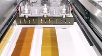 Machine de découpe automatique de barres alimentaires à ultrasons Wanlisonic avec fonction de retrait du papier