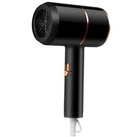 Sèche-cheveux professionnel de salon avec moteur AC, buse concentratrice, multi-usages, pour hôtel, portable et durable