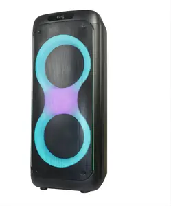 T doppio 10 pollici 80W Party Speaker Karaoke Trolley altoparlante portatile con ingresso chitarra e altoparlante Bluetooth Wireless EQ Select