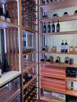 Réfrigérateur à vin en acier inoxydable moderne pour la maison, personnalisable, capacité de 300 bouteilles, armoire à vin thermoélectrique de 34 bouteilles