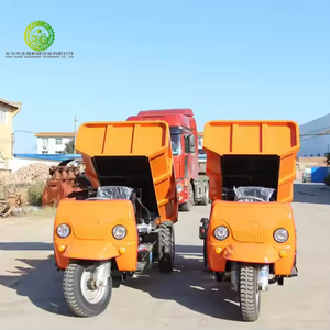 Camión Minero Diésel Ruijin, Mini Triciclo de Tres Ruedas, Capacidad 2000 - 3000 Kilogramas, Motor de Arranque Eléctrico, Bomba, Transmisión - Product Image 4