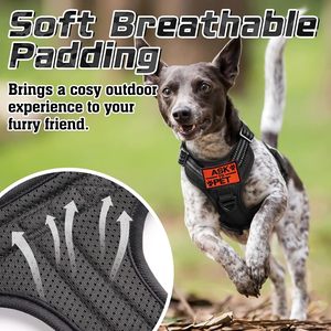 Durable Solid Nylon Personalized <b>Dog</b> Harness with LED <b>Light</b> & GPS Tracker Holder for Night Safety - Product Image 6