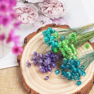 L12 Fiori Secchi Naturali Mini Stella del Brasile YUNNAN per Resina Epossidica, Arte, Unghie, Sapone, Candele Profumate - Collezione Terra - Product Image 3