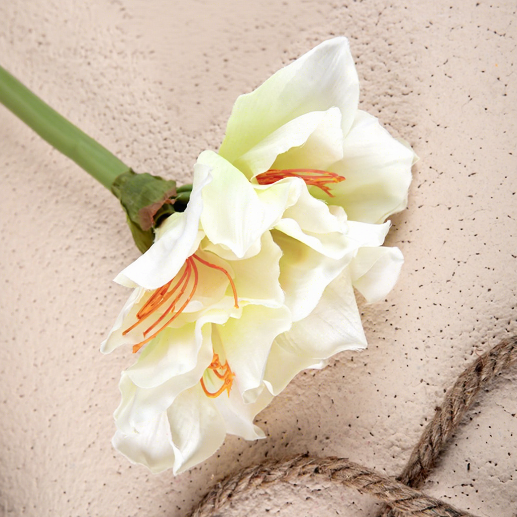 สีขาวและสีเขียว