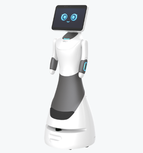 Robot d'accueil IA de haute technologie à prix d'usine avec fonction de dialogue vocal et de danse, recharge automatique, idéal pour la réception d'entreprise - Product Image 3