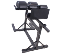 Chaise romaine Ghd ajustable, équipement de gymnastique, vente en gros, usine, haute qualité, sans logo
