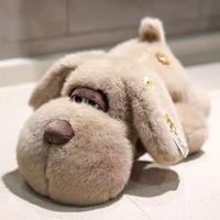 Peluches phoques de 8 pouces avec yeux et nez brodés, animaux en peluche doux pour machine à griffes