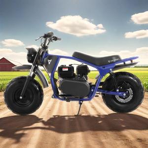 รถมอเตอร์ไซค์ Tao Motor 2025 รุ่นใหม่ โครงเหล็ก ยางอ้วน สำหรับขับขี่ออฟโรด 200 ซีซี มินิไบค์ - Product Image 1
