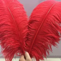 10 Stück/Set Gefärbte Bunte Große Straußenfedern 50-75cm Schwarz Weiß Rot Halloween Hochzeit Tischdekoration