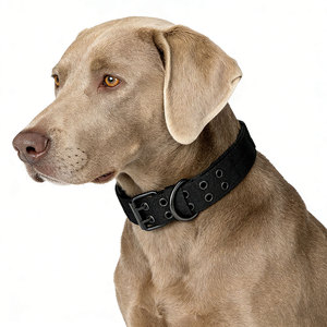 Collar de Perro de Nailon de Lujo Personalizado, con Hebilla de Metal Táctica, Resistente, Grueso y Ancho para Perros - Product Image 6