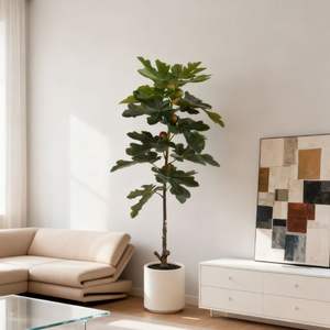 Ficus Artificiale in Plastica per Interni, Pianta di Ficus Banyan di Alta Qualità per Matrimoni e Cerimonie di Laurea - Product Image 5