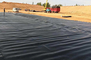Geomembrane Industriali per Laghetti di Pesci da 0,25mm, 0,3mm, 0,5mm, 0,75mm, 1mm, per Discariche e Vasche di Allevamento Ittico, Membrana Impermeabile in HDPE - Product Image 3