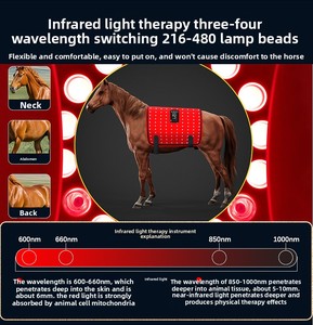 Équipement de thérapie équine OEM, couverture de thérapie pour chevaux à lumière rouge 660nm 850nm, équipement de thérapie pour chevaux à infrarouge lointain détachable pour l'écurie - Product Image 5