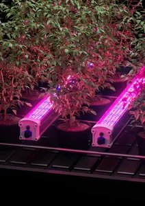 Undercanopy 160W 2.8 Umol/J 4ft Greenhouse Indoor Farming 160 Watt Inter Canopy LED Grow Lights
