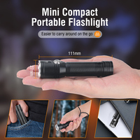 Lampe torche tactique LED haute luminosité 2050LM en alliage d'aluminium rechargeable, lampe de camping, LED Samsung 351B, 5 modes, Type-C, IP68