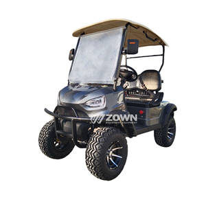 Voiturette de golf électrique homologuée pour la route, 4x4 tout-terrain, chariot de chasse, moteur 5KW, châssis en aluminium, personnalisation disponible - Product Image 6