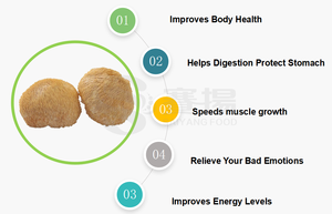Poudre de champignon Erinaceus, extrait de crinière de lion, polysaccharide 50%, extrait de champignon crinière de lion en poudre, extrait d'Hericium Erinaceus - Product Image 3